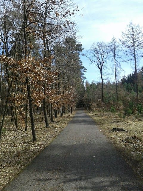 Kunratický les