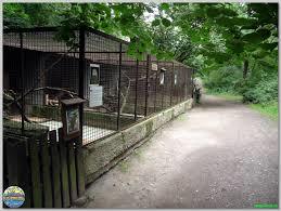 minizoo Zbraslav