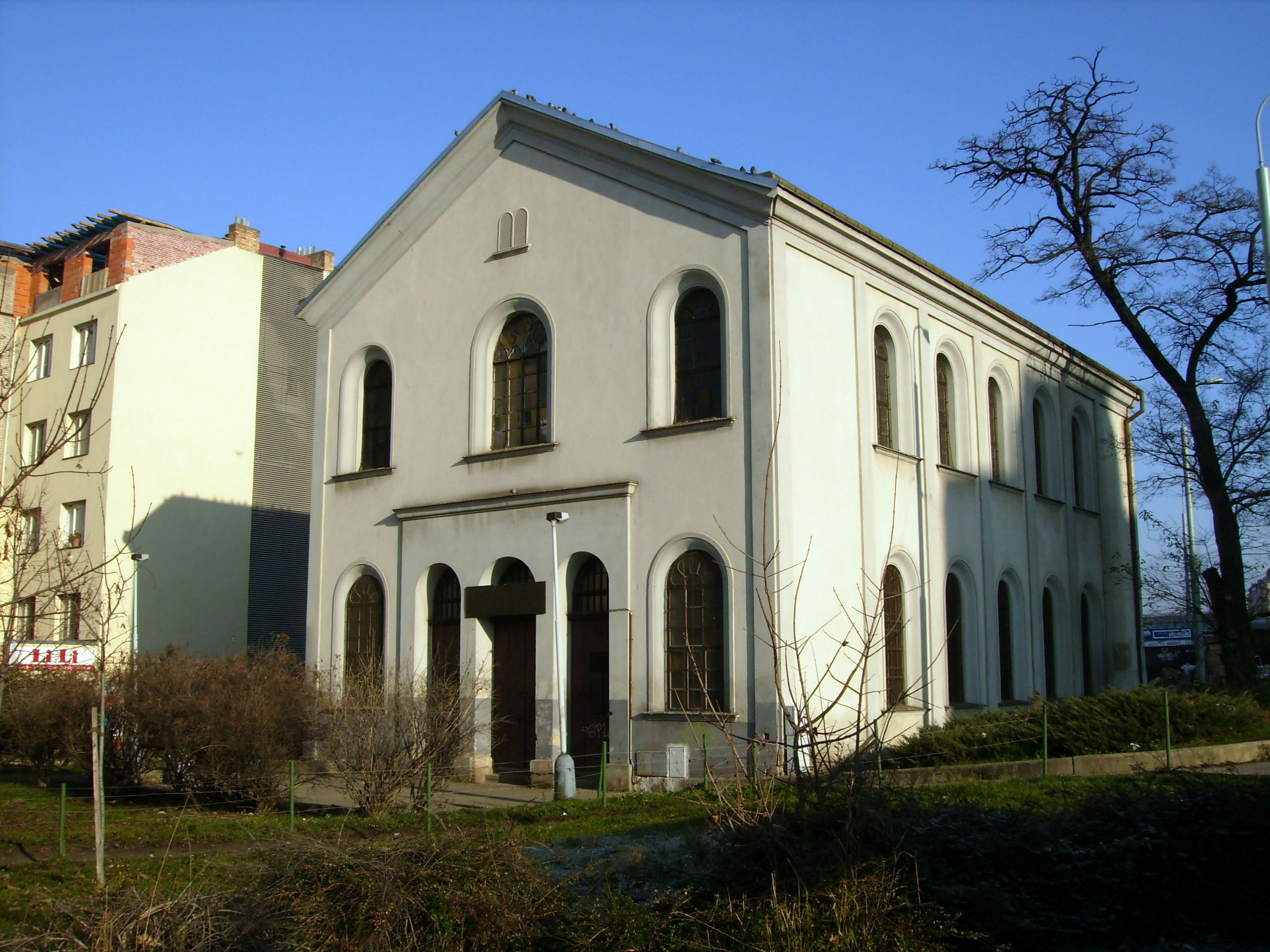 Nová synagoga